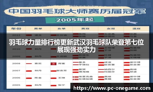羽毛球力量排行榜更新武汉羽毛球队荣登第七位展现强劲实力